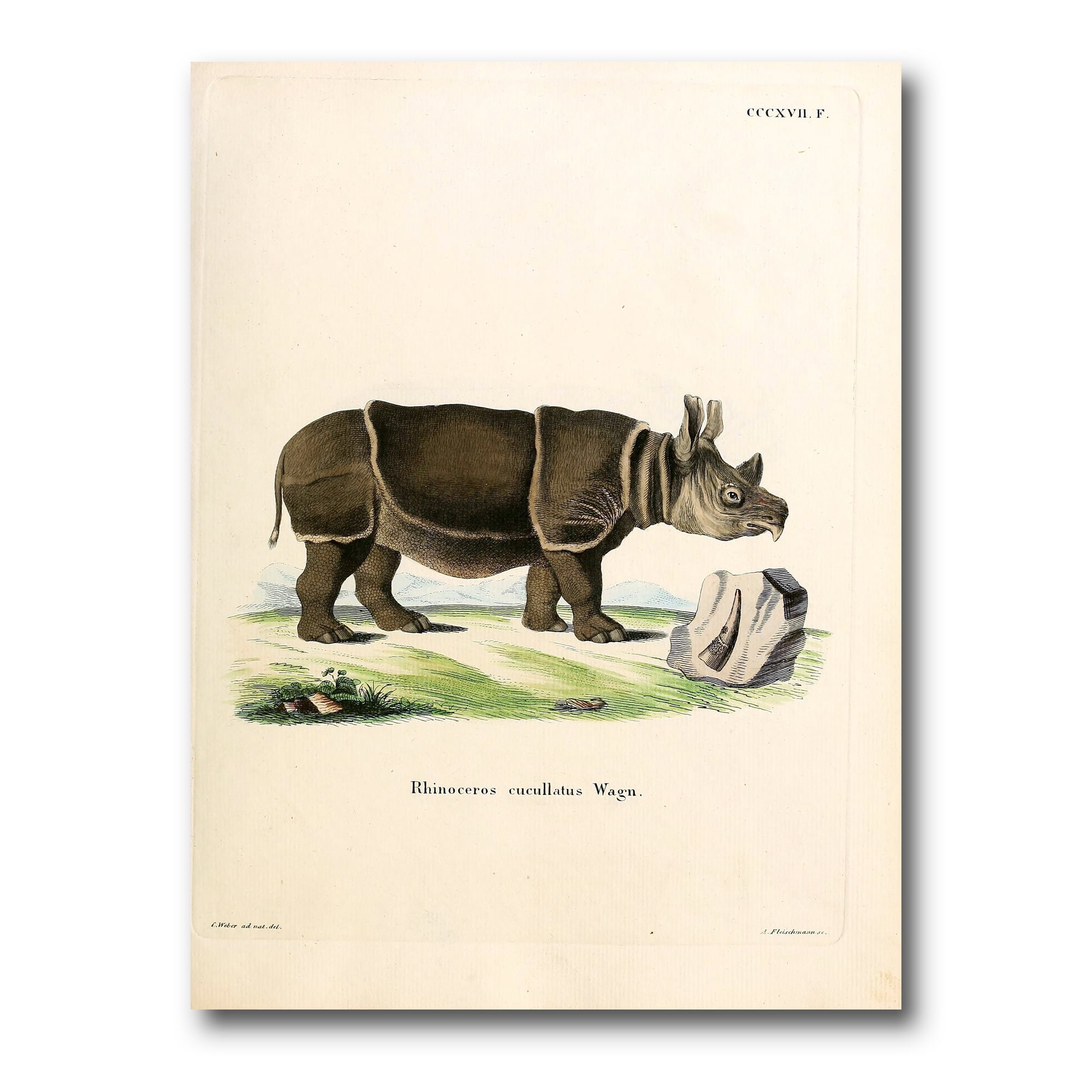 Designart ' Ancient Rhinoceros ' Farmhouse Canvas Wall Art Print