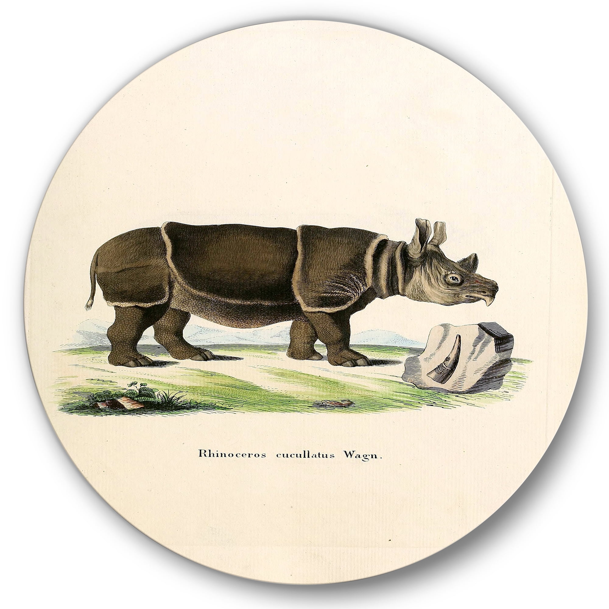 Designart 'Ancient Rhinoceros' Farmhouse Circle Metal Wall Art 36x36 - Disc of 36
