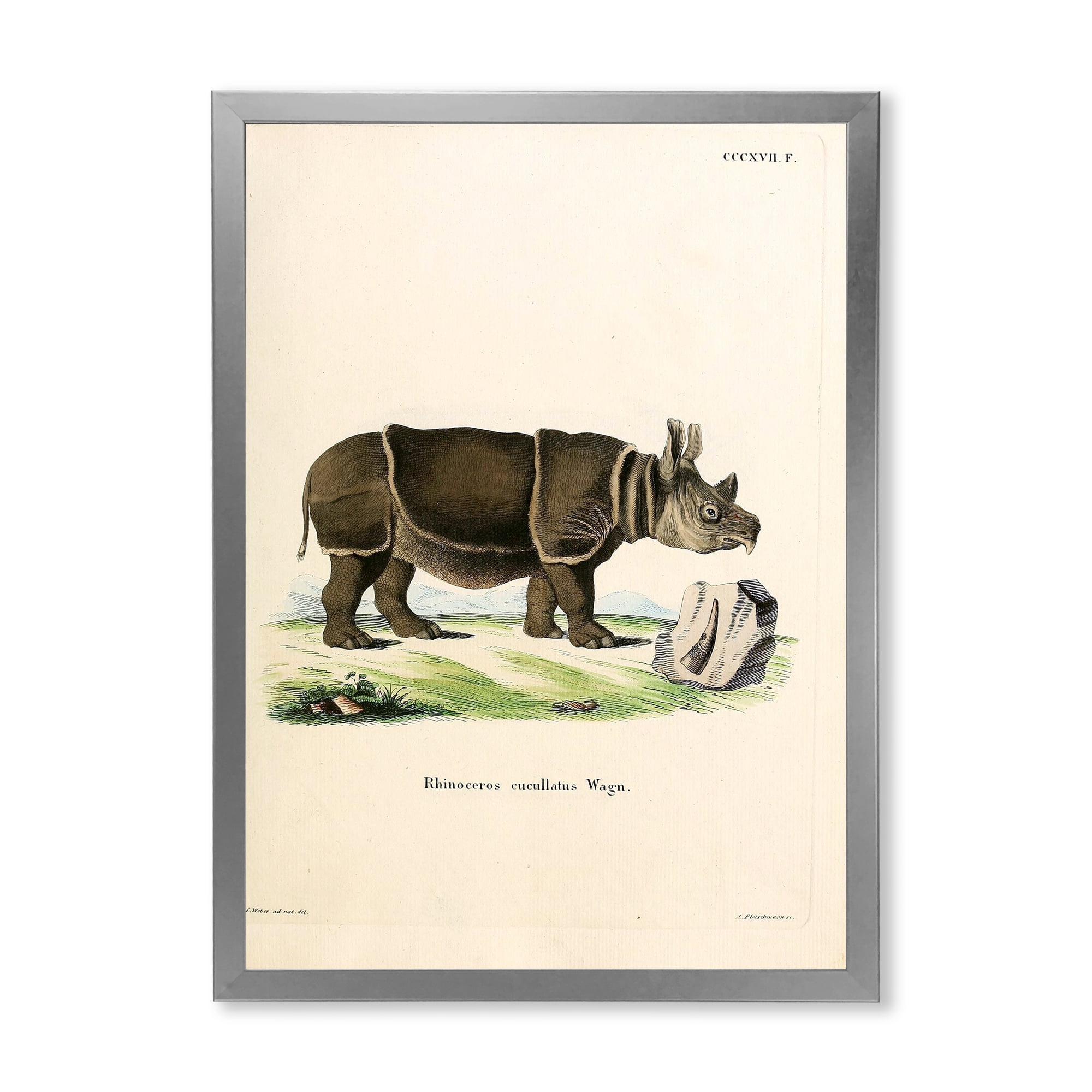 Designart 'Ancient Rhinoceros' Farmhouse Framed Art Print