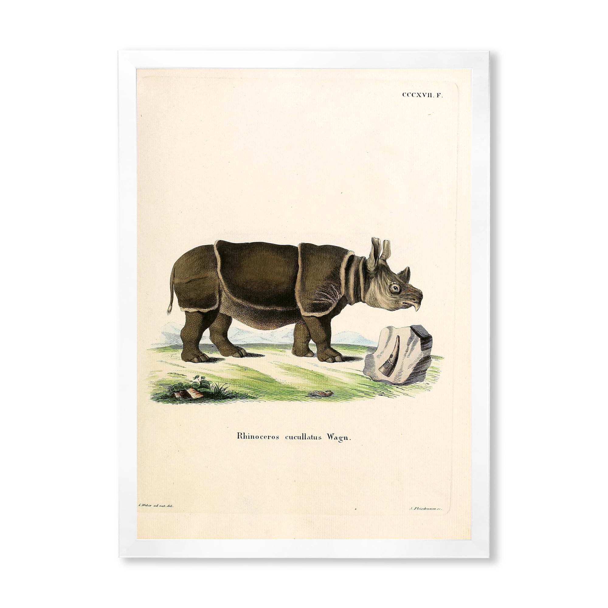 Designart 'Ancient Rhinoceros' Farmhouse Framed Art Print