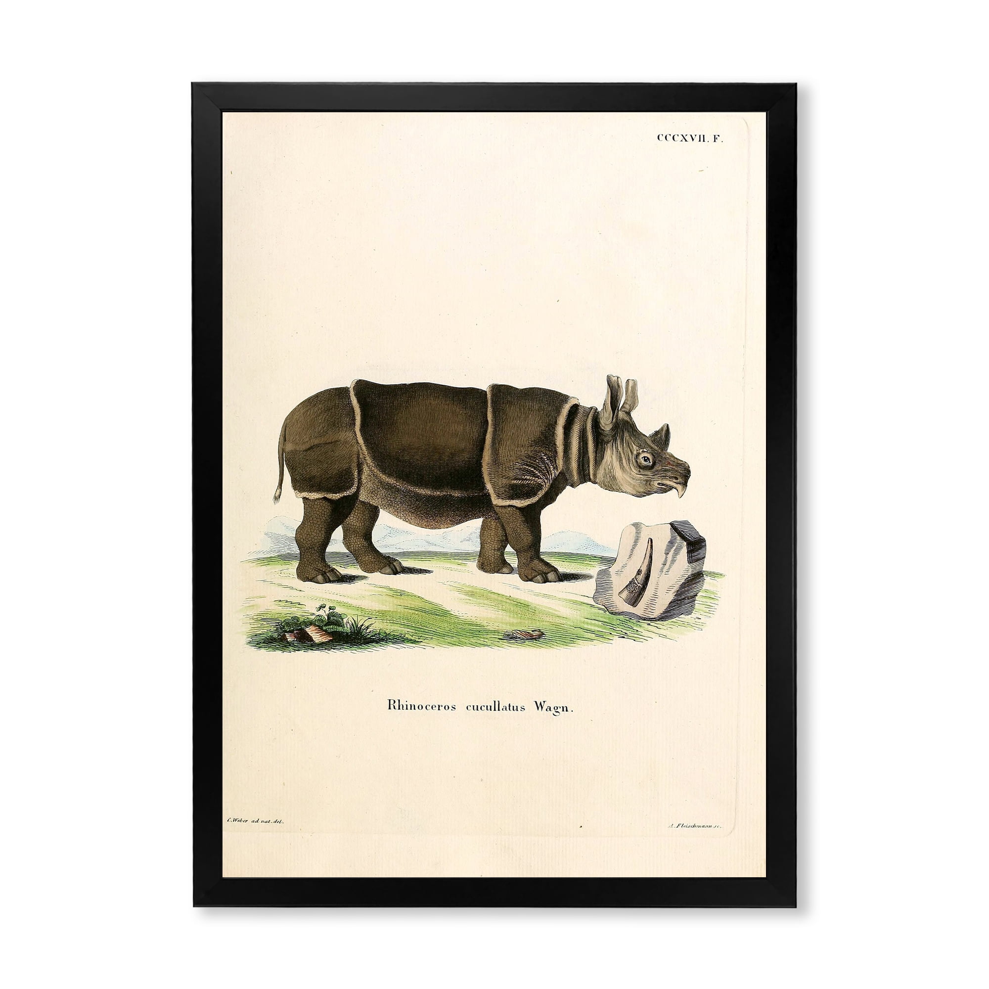Designart 'Ancient Rhinoceros' Farmhouse Framed Art Print