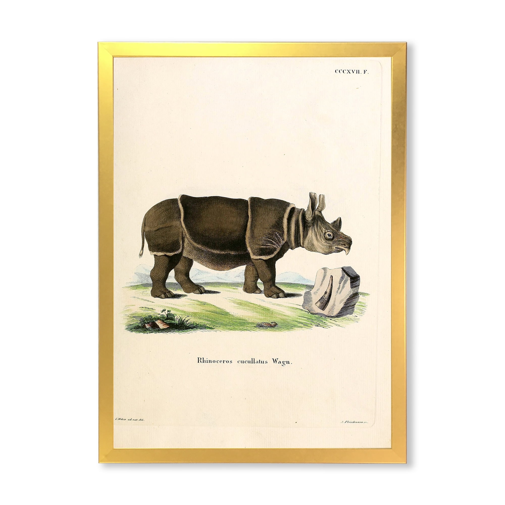 Designart 'Ancient Rhinoceros' Farmhouse Framed Art Print