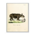 thumbnail image 1 of Designart 'Ancient Rhinoceros' Farmhouse Framed Canvas Wall Art Print, 1 of 5