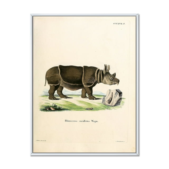 Designart 'Ancient Rhinoceros' Farmhouse Framed Canvas Wall Art Print
