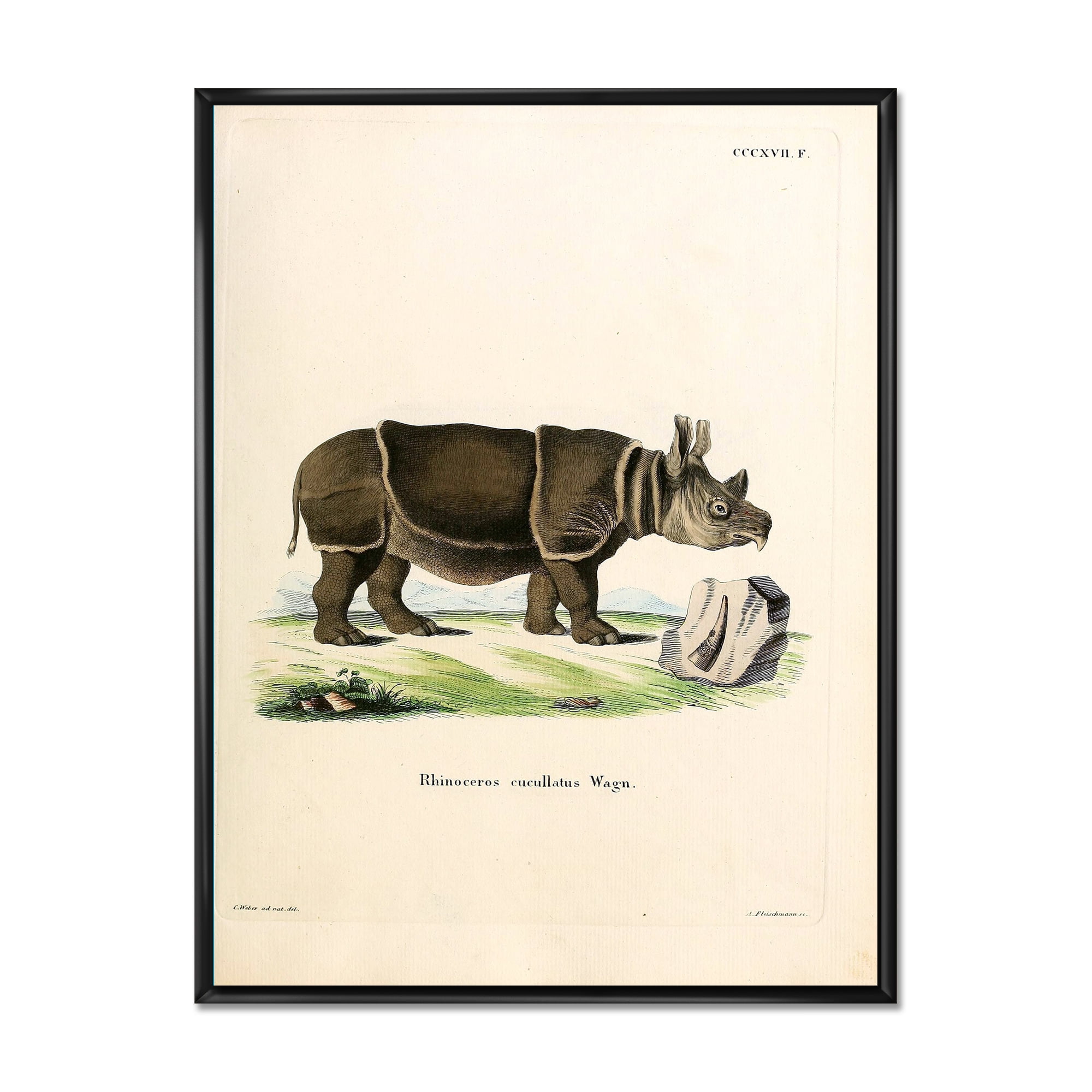 Designart 'Ancient Rhinoceros' Farmhouse Framed Canvas Wall Art Print