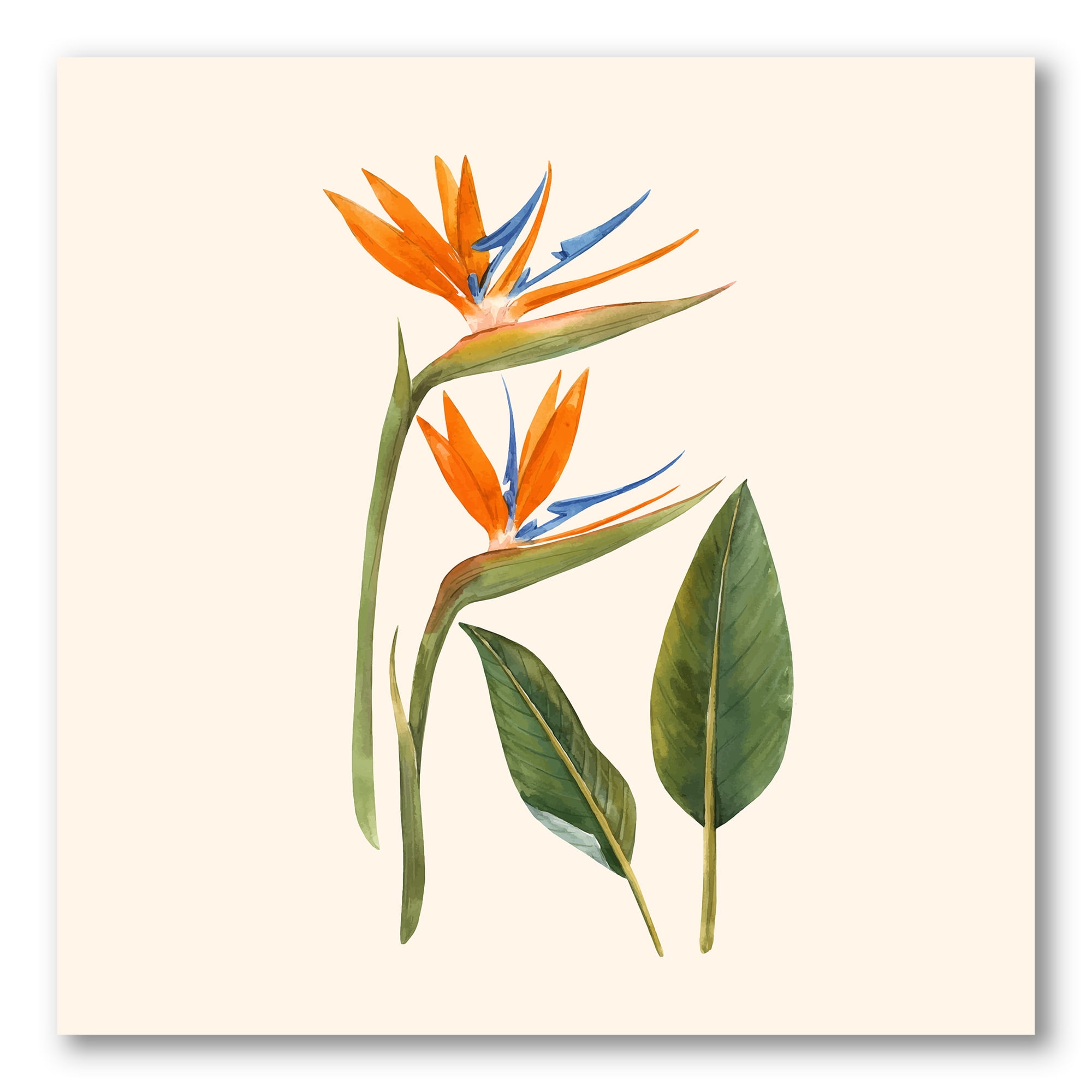 Designart ' Ancient Strelitzia Flowers ' Traditional Canvas Wall Art Print
