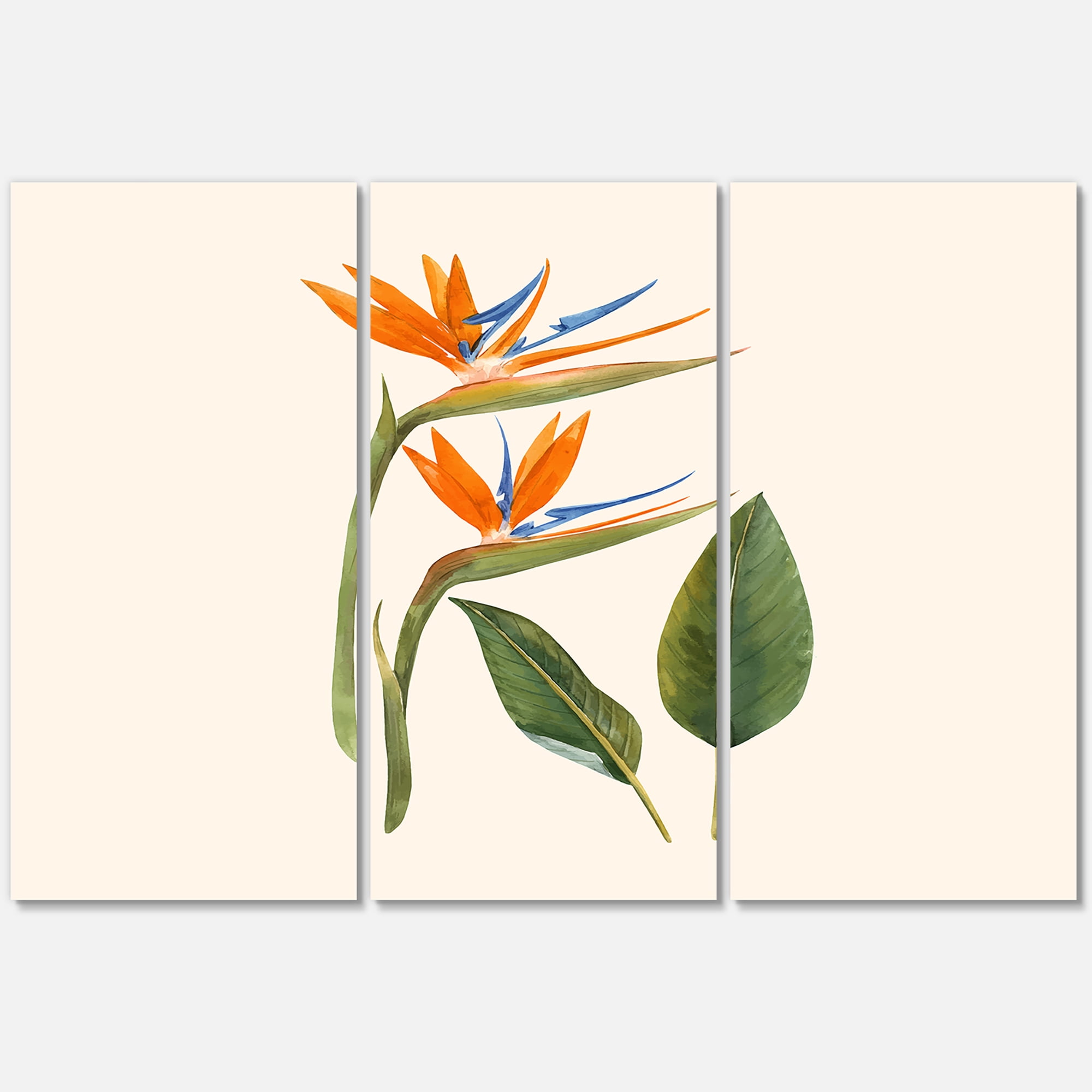 Designart ' Ancient Strelitzia Flowers ' Traditional Canvas Wall Art Print