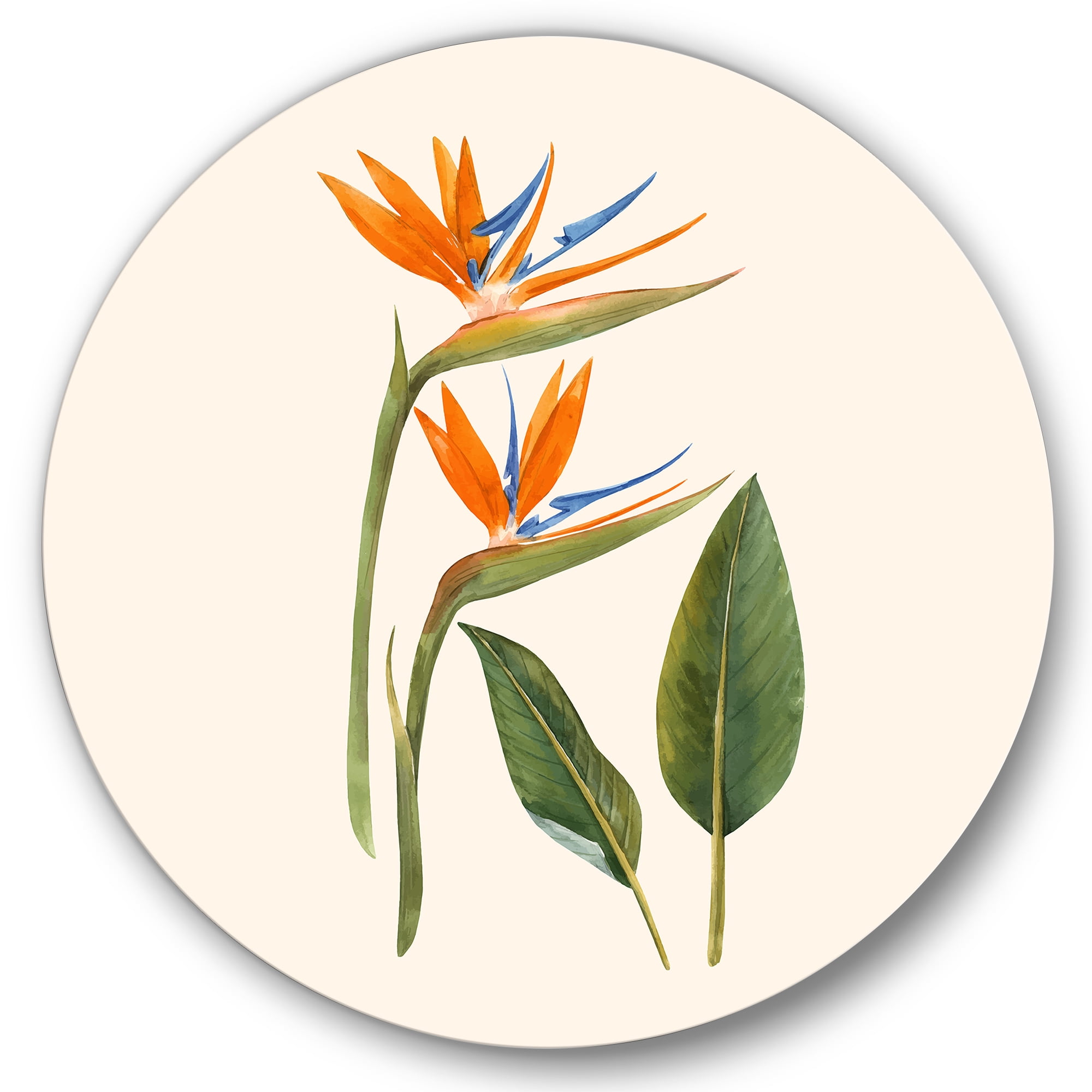 Designart 'Ancient Strelitzia Flowers' Traditional Circle Metal Wall Art 29x29 - Disc of 29
