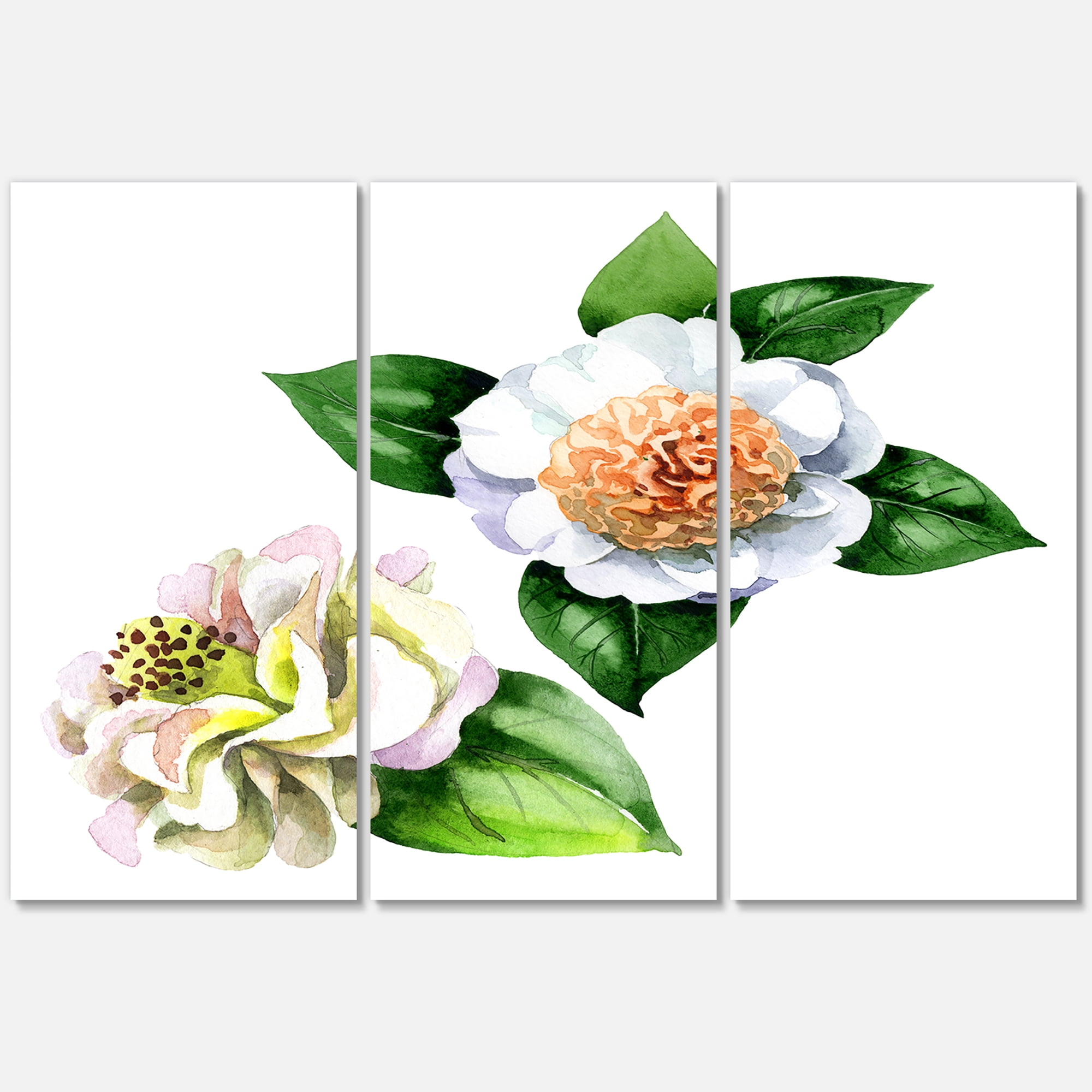 Designart ' Ancient White Camellia Flowers With Green Leaves ' Traditional Canvas Wall Art Print