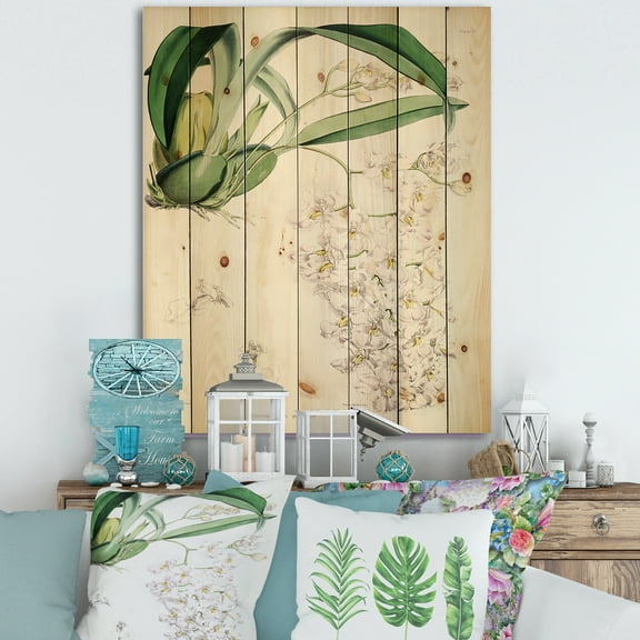Designart 'Ancient White Orchid II' Traditional Print on Natural Pine Wood