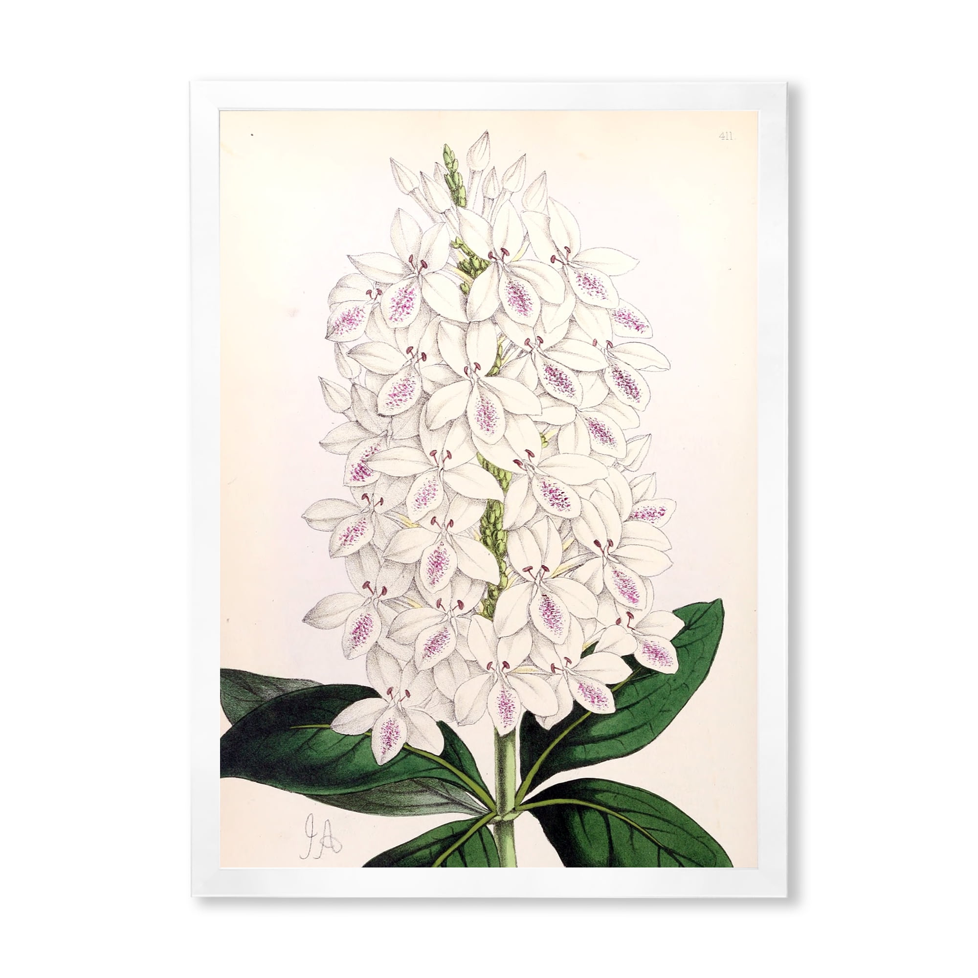 Designart 'Ancient White Orchid III' Traditional Framed Art Print