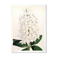 thumbnail image 1 of Designart 'Ancient White Orchid III' Traditional Framed Art Print, 1 of 4