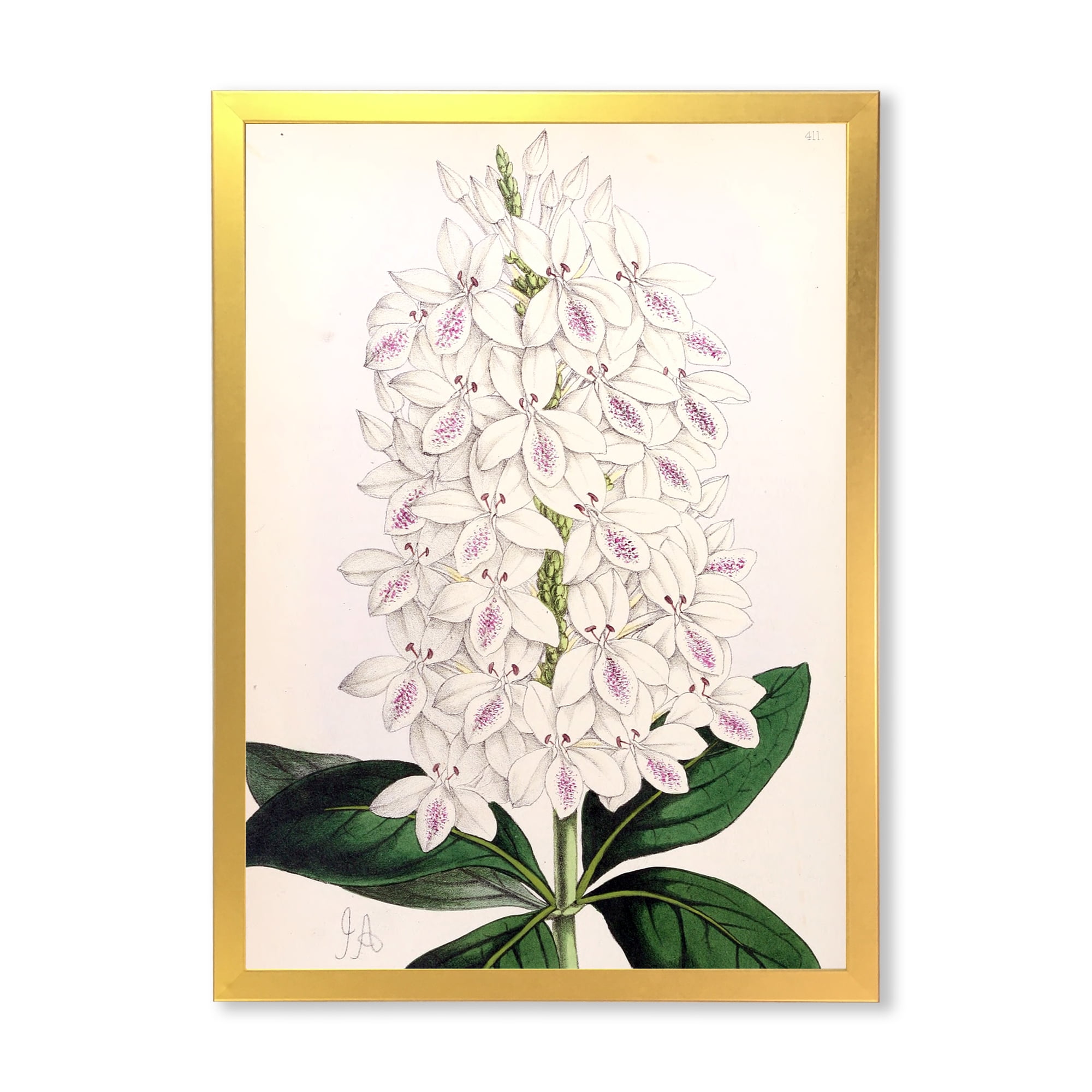 Designart 'Ancient White Orchid III' Traditional Framed Art Print