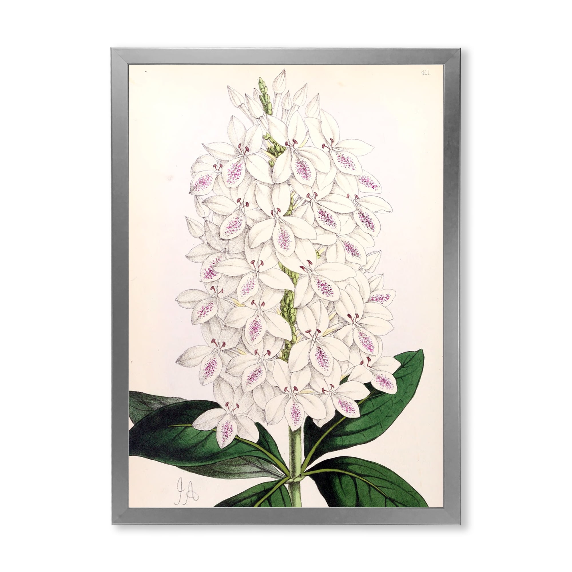 Designart 'Ancient White Orchid III' Traditional Framed Art Print