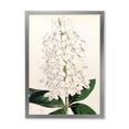 thumbnail image 1 of Designart 'Ancient White Orchid III' Traditional Framed Art Print, 1 of 4