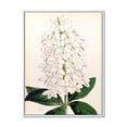 thumbnail image 1 of Designart 'Ancient White Orchid III' Traditional Framed Canvas Wall Art Print, 1 of 5