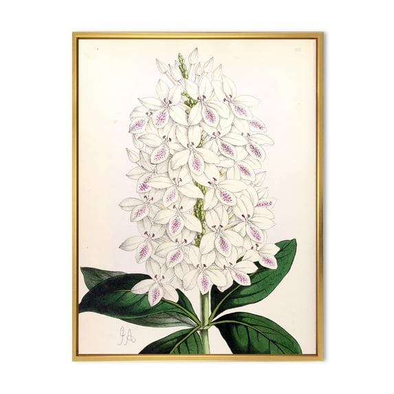 Designart 'Ancient White Orchid III' Traditional Framed Canvas Wall Art Print