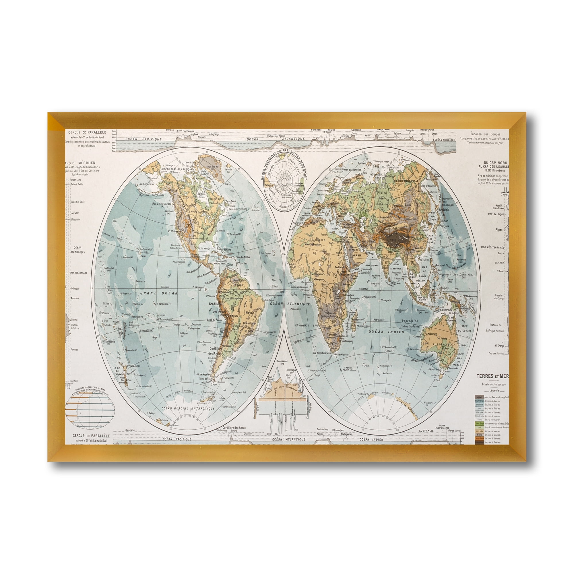 Designart 'Ancient World Map II' Rustic Framed Art Print