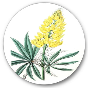 Designart 'Ancient Yellow Flower I' Traditional Circle Metal Wall Art 36x36 - Disc of 36