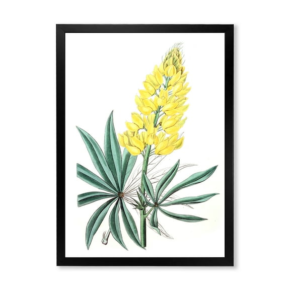 Designart 'Ancient Yellow Flower I' Traditional Framed Art Print