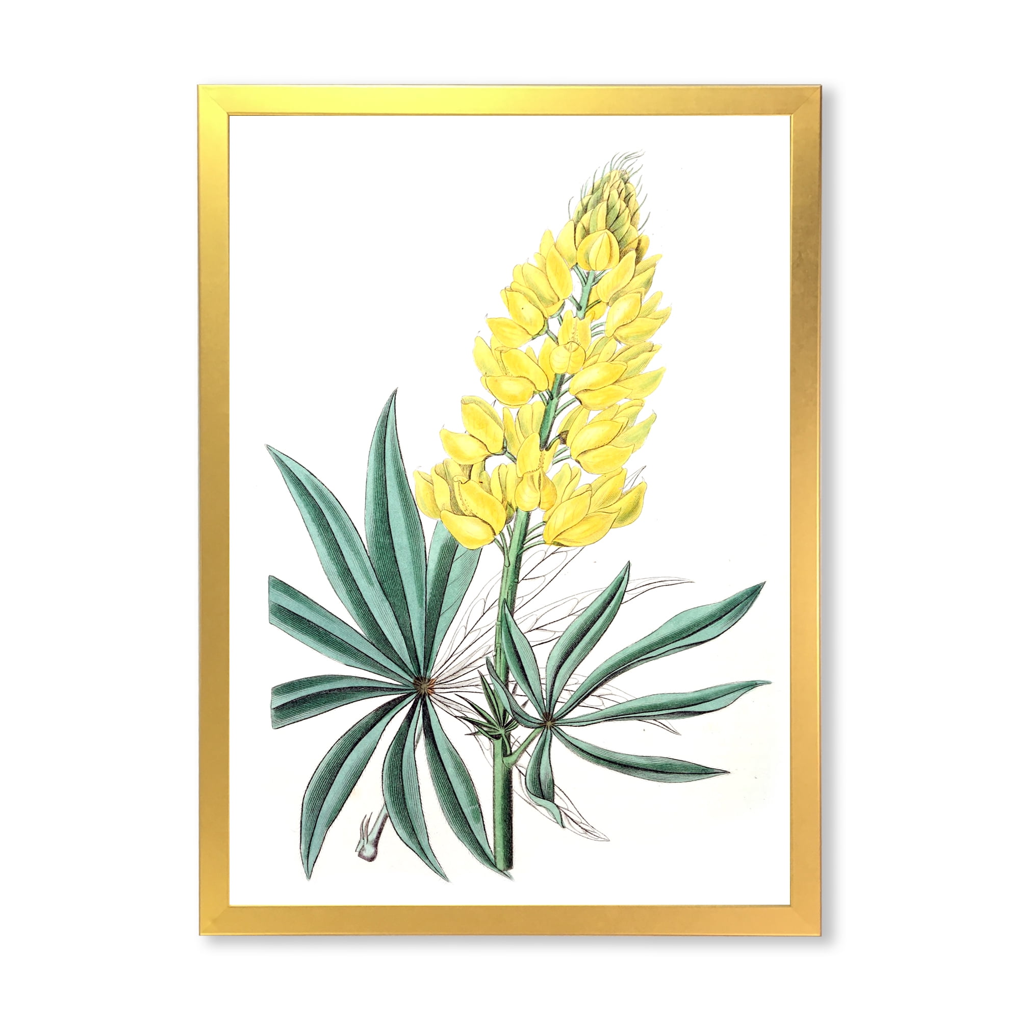 Designart 'Ancient Yellow Flower I' Traditional Framed Art Print
