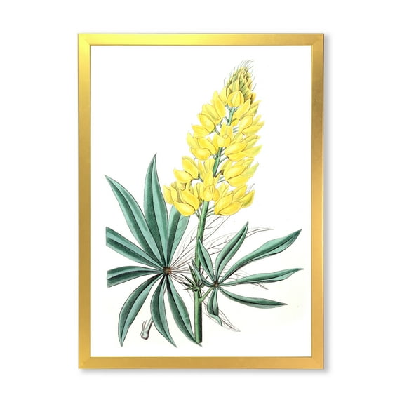 Designart 'Ancient Yellow Flower I' Traditional Framed Art Print
