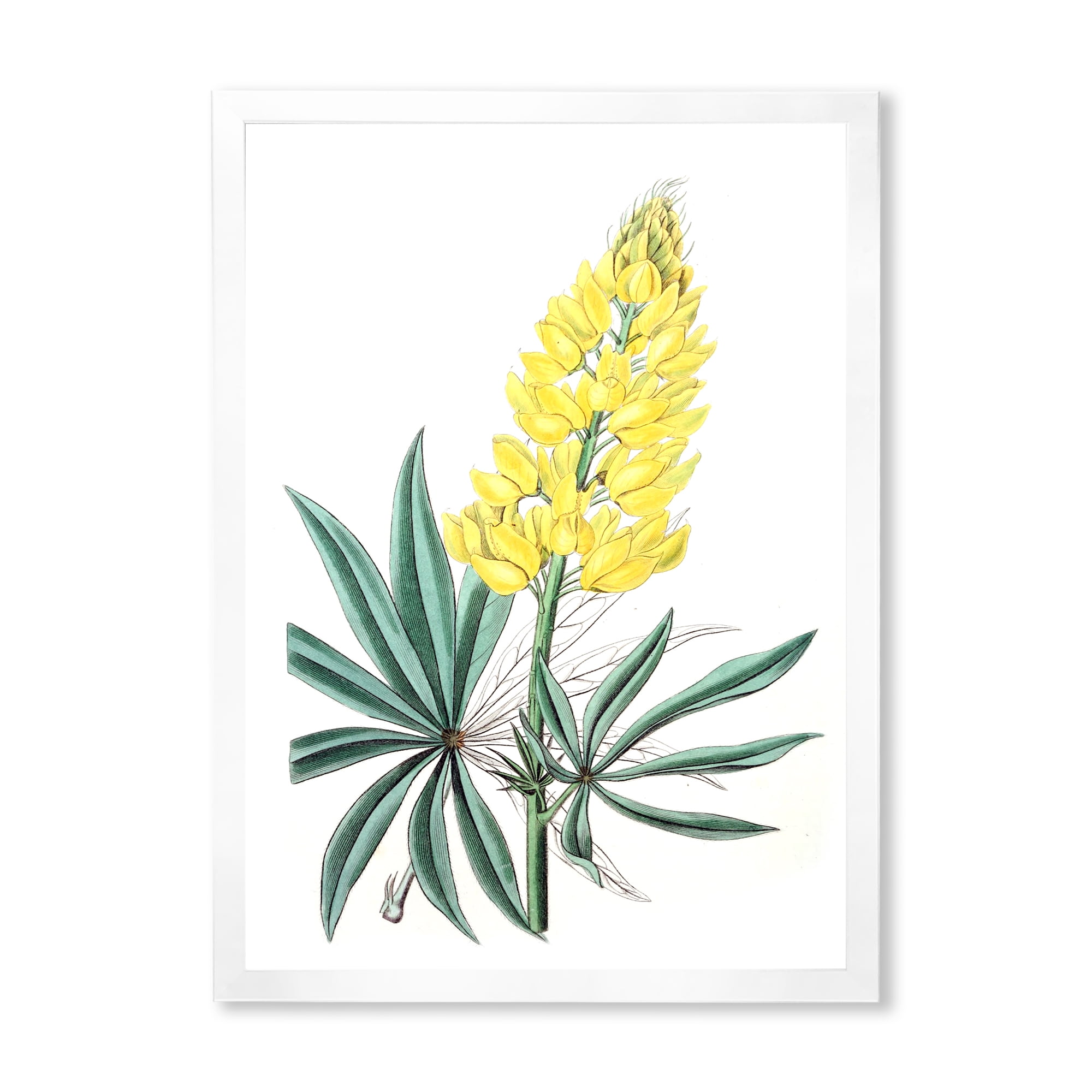 Designart 'Ancient Yellow Flower I' Traditional Framed Art Print