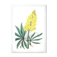 thumbnail image 1 of Designart 'Ancient Yellow Flower I' Traditional Framed Art Print, 1 of 4