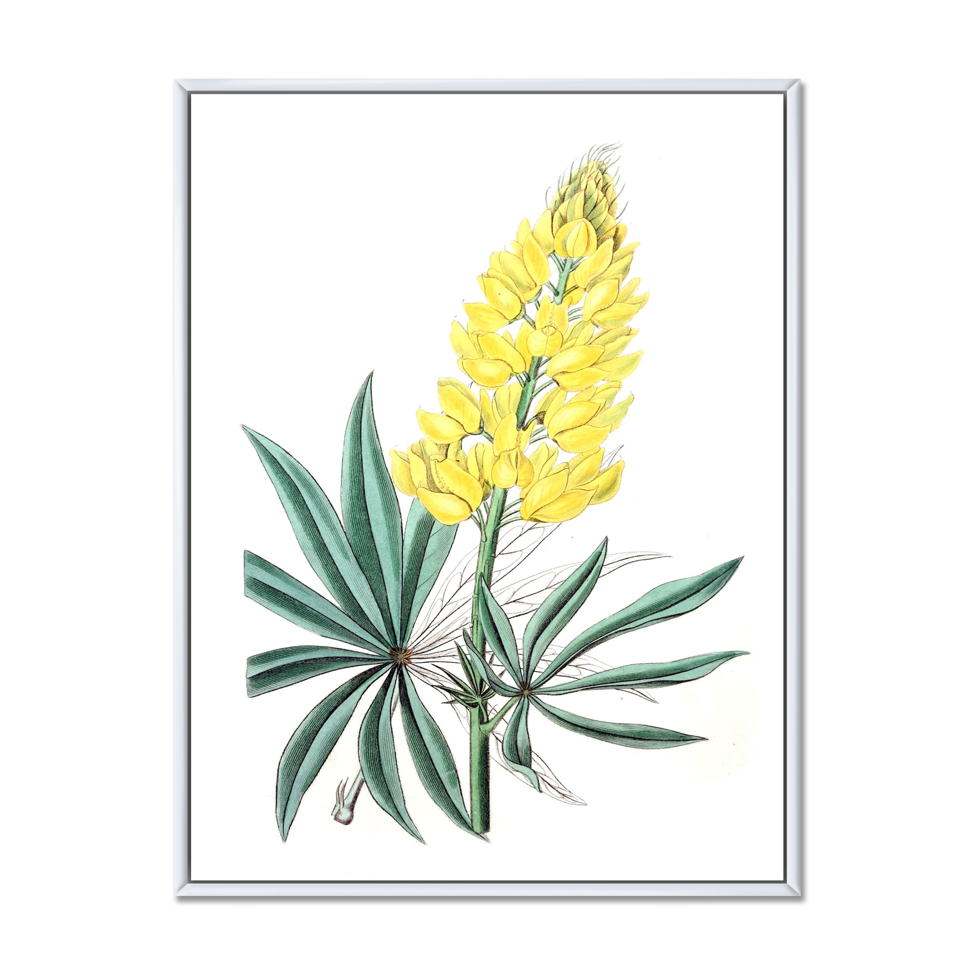 Designart 'Ancient Yellow Flower I' Traditional Framed Canvas Wall Art Print