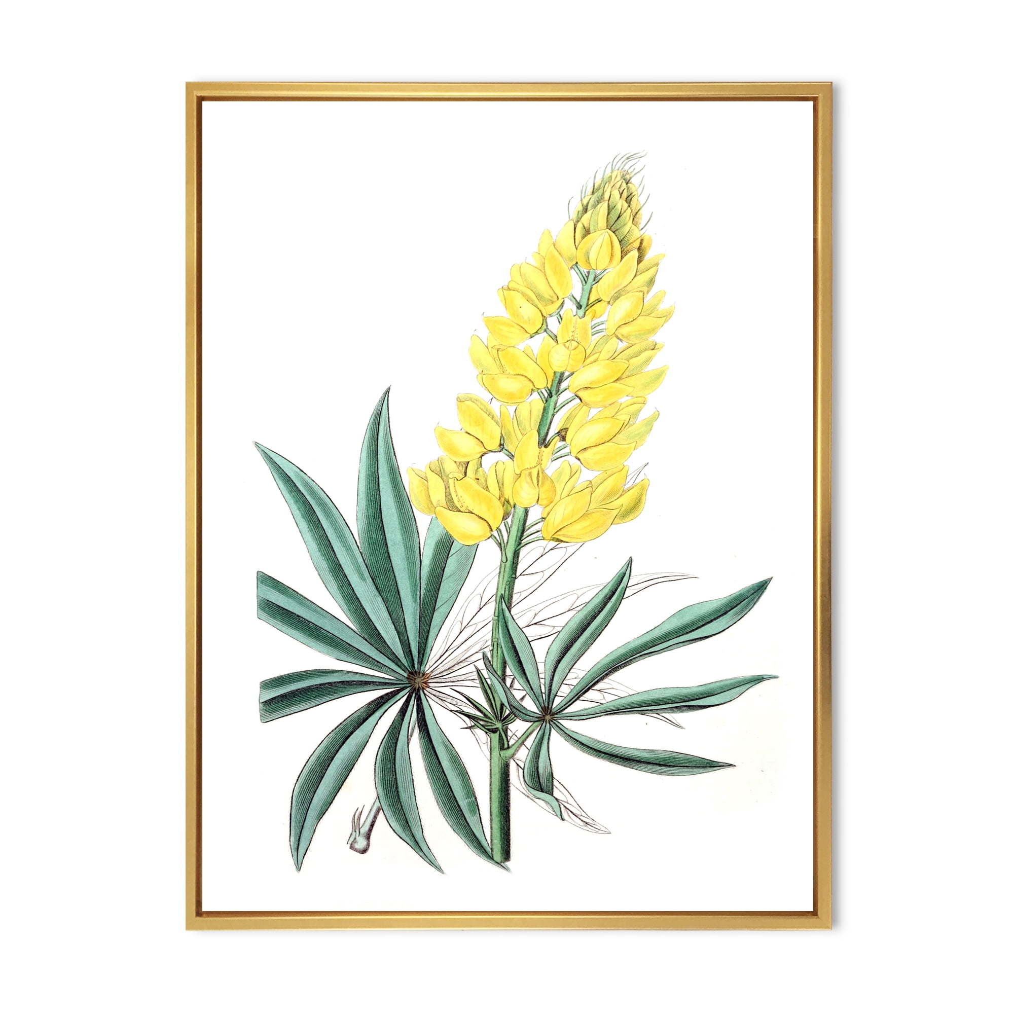 Designart 'Ancient Yellow Flower I' Traditional Framed Canvas Wall Art Print