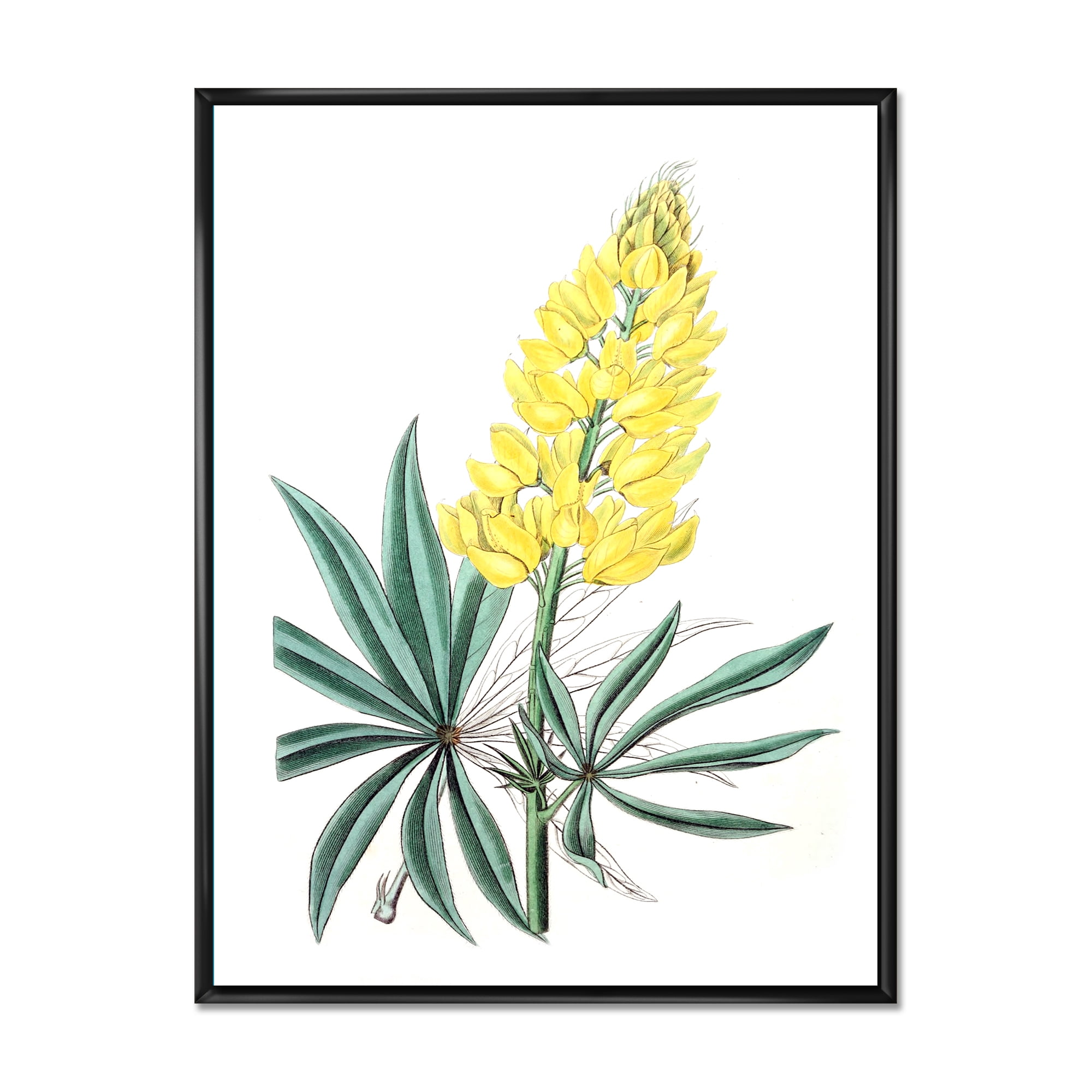 Designart 'Ancient Yellow Flower I' Traditional Framed Canvas Wall Art Print