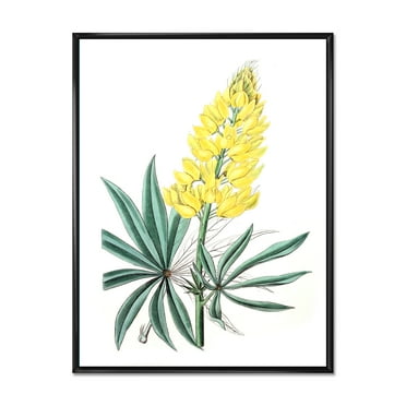 Designart 'Ancient Yellow Flower I' Traditional Framed Canvas Wall Art Print