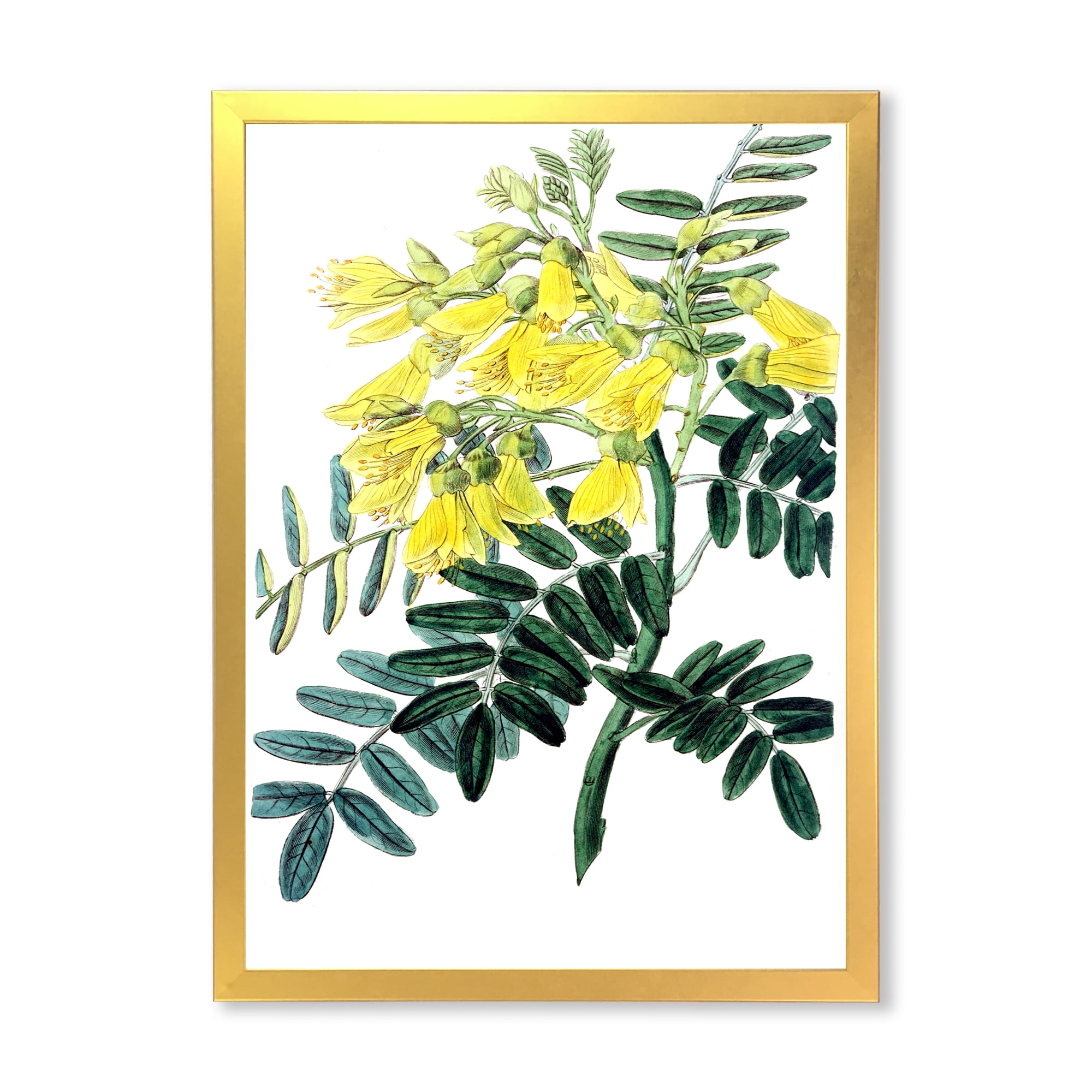 Designart 'Ancient Yellow Flower II' Traditional Framed Art Print
