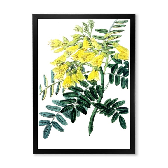Designart 'Ancient Yellow Flower II' Traditional Framed Art Print