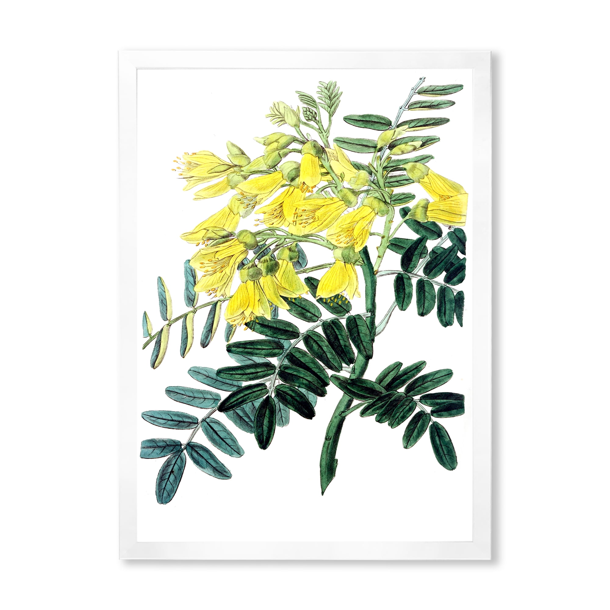 Designart 'Ancient Yellow Flower II' Traditional Framed Art Print