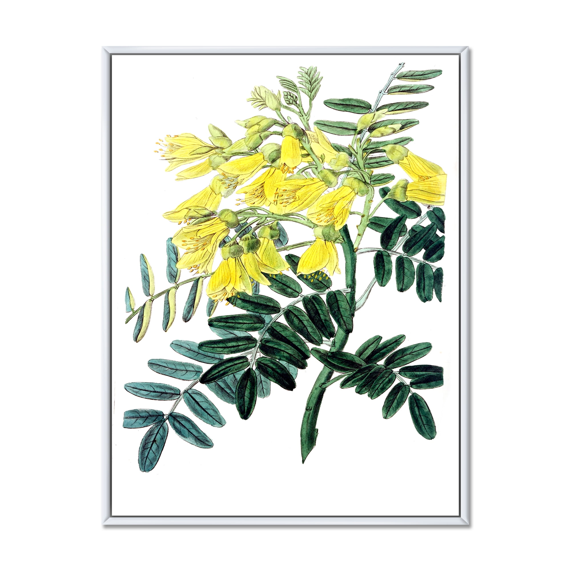 Designart 'Ancient Yellow Flower II' Traditional Framed Canvas Wall Art Print
