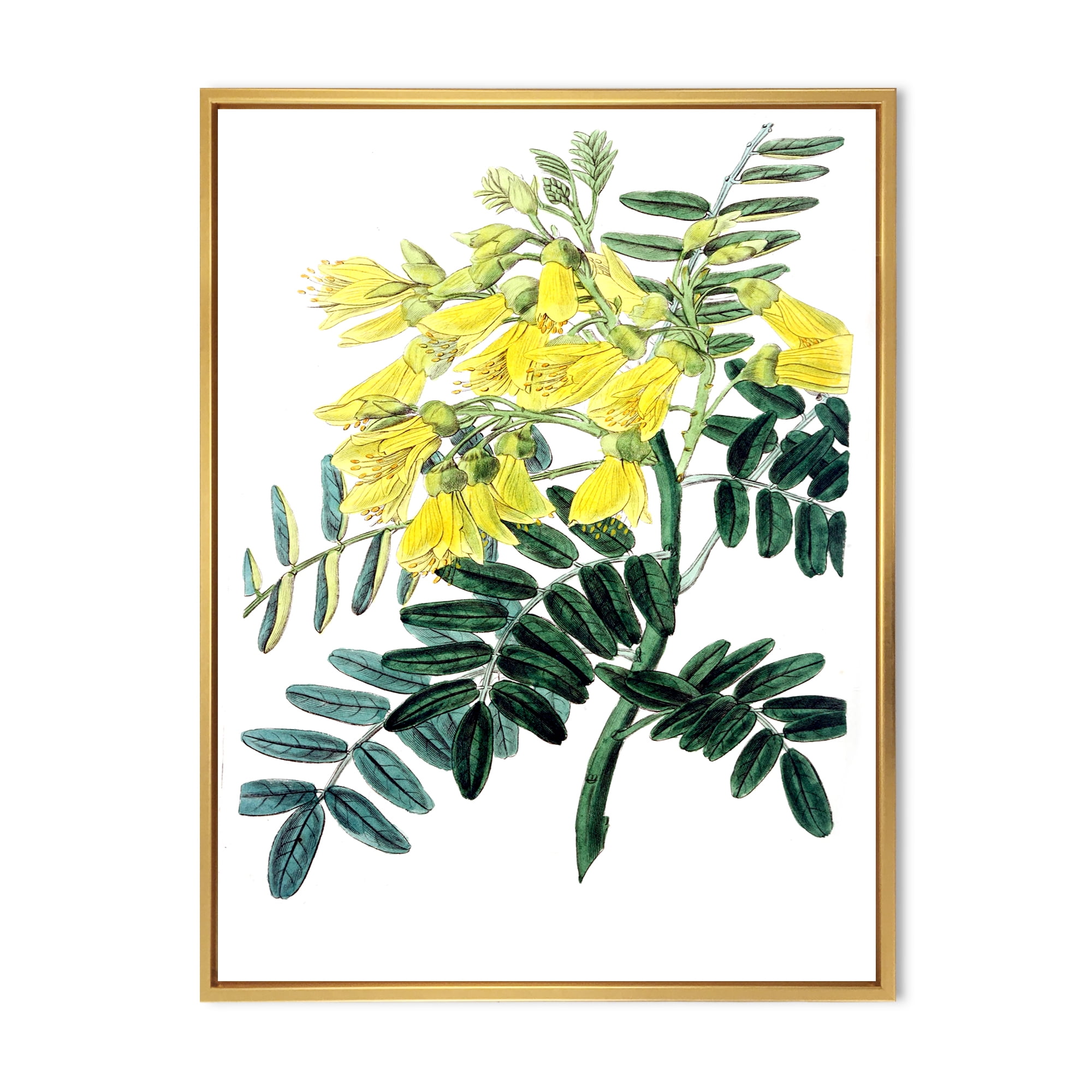 Designart 'Ancient Yellow Flower II' Traditional Framed Canvas Wall Art Print