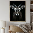 thumbnail image 1 of Designart "Antelope Photo Animal II" Animals Floater Framed Wall Art Living Room, 1 of 7