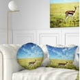 thumbnail image 1 of Designart Antelopes Wandering under Bright Sky - African Throw Pillow - 12x20, 1 of 1