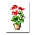 thumbnail image 1 of Designart ' Anthurium Tailflower In The Pot ' Traditional Canvas Wall Art Print, 1 of 4