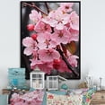 thumbnail image 1 of Designart "Apple Blossom Monochromatic gracefulness XVI" Floral Floater Framed Canvas Print, 1 of 7