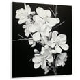 thumbnail image 1 of Designart "Apple Blossom Monochromatic gracefulness XXVI" Floral Metal Art Print, 1 of 5