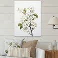 thumbnail image 1 of Designart "Apple Blossom Monochromatic gracefulness XXVII" Floral Metal Art Living Room, 1 of 5