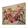 thumbnail image 1 of Designart "Apple Blossom Realistic botanic" Apple Blossom Print on Natural Pine Wood, 1 of 5