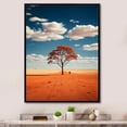 thumbnail image 1 of Designart "Australia Red Centre silence I" Floral Floater Framed Wall Decor, 1 of 7