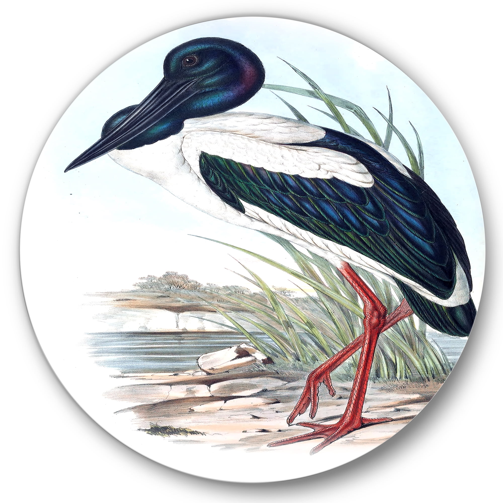 Designart 'Australian Vintage Birds I' Traditional Circle Metal Wall Art 23x23 - Disc of 23