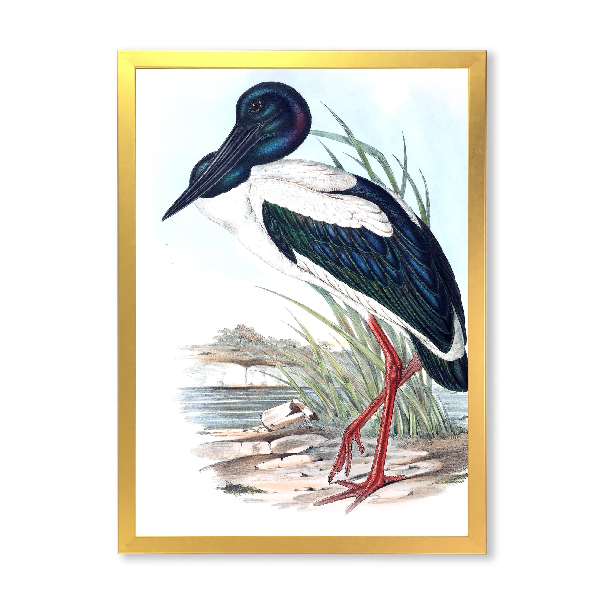 Designart 'Australian Vintage Birds I' Traditional Framed Art Print
