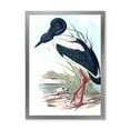 thumbnail image 1 of Designart 'Australian Vintage Birds I' Traditional Framed Art Print, 1 of 4
