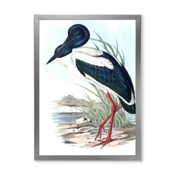 Designart 'Australian Vintage Birds I' Traditional Framed Art Print