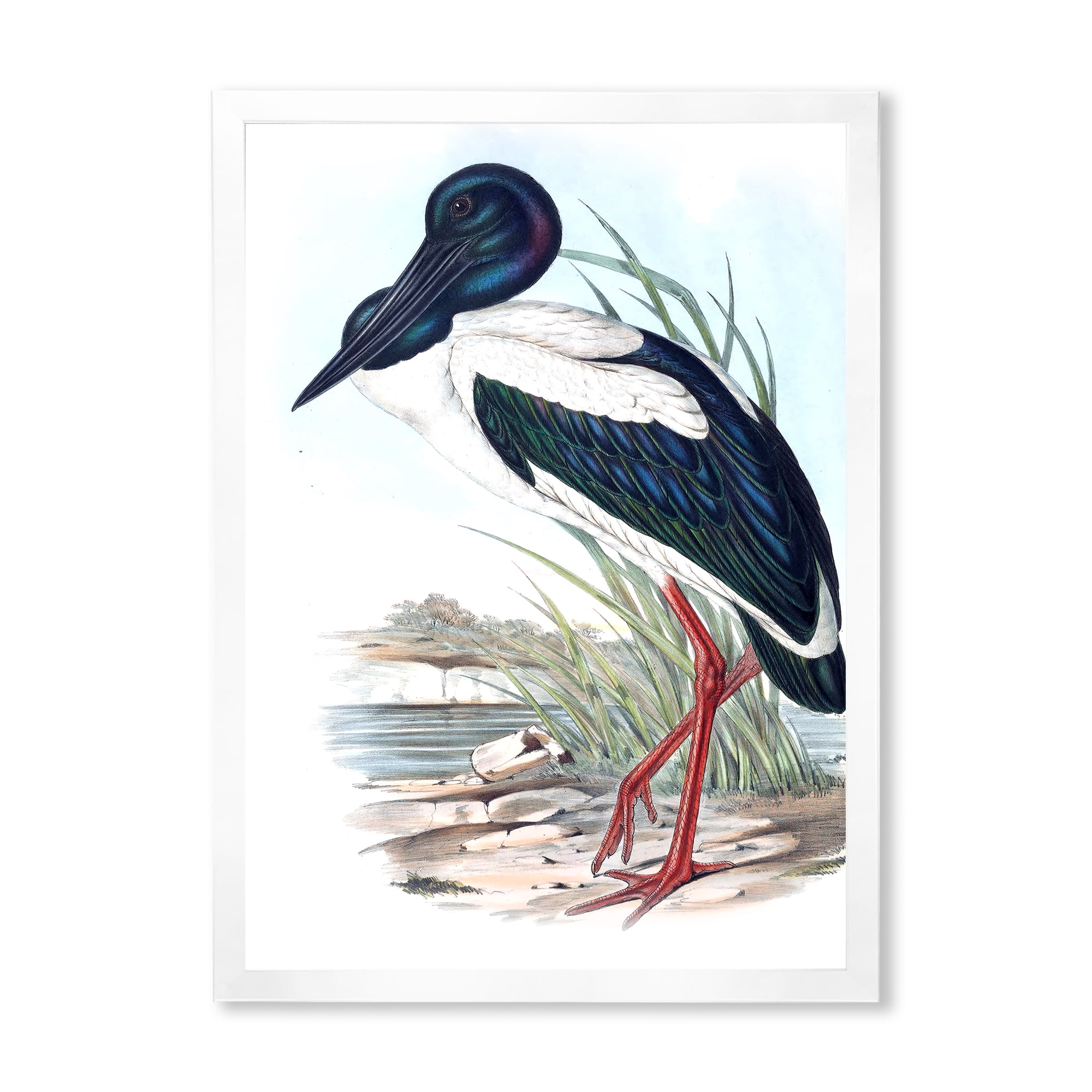 Designart 'Australian Vintage Birds I' Traditional Framed Art Print